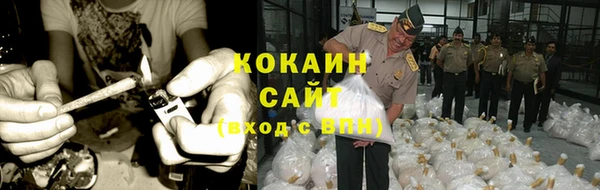 spice Тавда