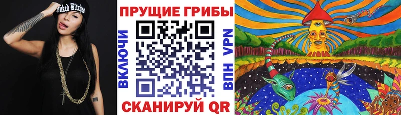 где купить наркоту  Бутурлиновка  Псилоцибиновые грибы Cubensis 